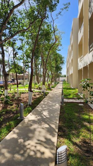 Apartment in Playa del Carmen