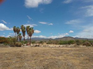 TERRENO EN PESCADERO