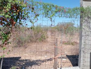 HECTÁREA DE TERRENO  CON PALAPA Y ALBERCA EN SAN PEDRO B.C.S.