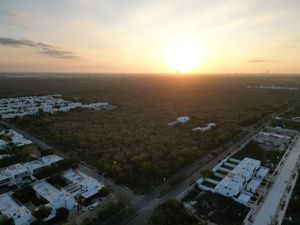 TERRENO EN VENTA CHOLUL 10,000 M2 SOBRE AVENIDA EN ESQUINA