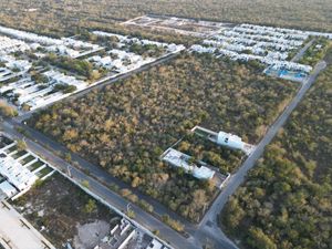 TERRENO EN VENTA CHOLUL 10,000 M2 SOBRE AVENIDA EN ESQUINA