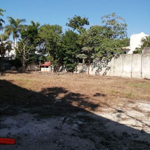 Terreno en Venta en Paseo de Montejo