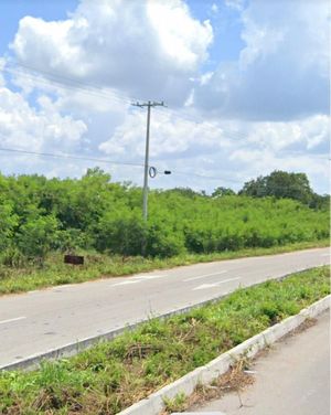 Terreno sobre carretera Mérida - Progreso