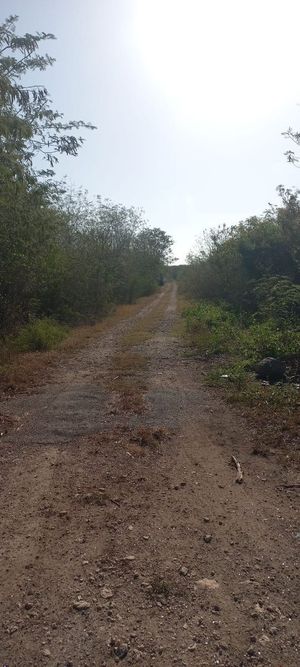 Terreno en Timucuy Yucatán