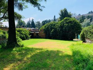 TERRENO COMERCIAL EN RENTA, LA MAGDALENA