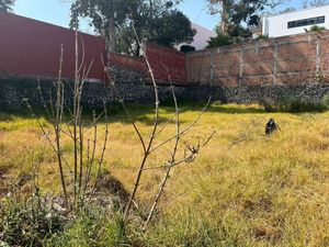 Jardines del Pedregal, Terreno con uso de suelo para 2 casas, en venta