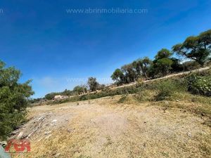 TERRENO EN VENTA EN AV CONCEPCION  10,000 M2