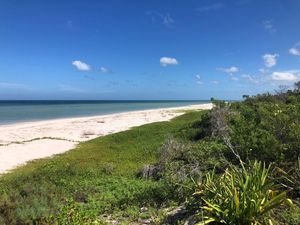 TERRENO EN VENTA EN SISAL YUCATAN FRENTE AL MAR