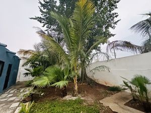 CASA EN VENTA EN MERIDA YUCATAN, PARA REMODELAR CERCA DE PASEO DE MONTEJO