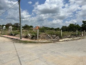 TERRENO EN VENTA EN MERIDA YUCATAN, ROBLE AGRICOLA