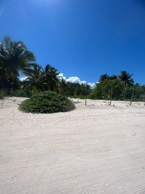 TERRENO EN VENTA EN SAN CRISANTO,YUCATAN ,FRENTE AL MAR