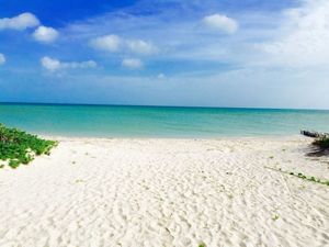 CONDOMINIOS EN SALINA BEACH, PROGRESO YUCATÁN.