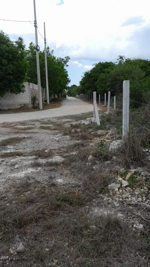 TERRENO EN VENTA EN DZITYA, ENTREGA INMEDIATA