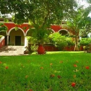 VENTA DE HACIENDA EN MERIDA YUCATAN