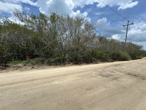 TERRENO EN VENTA EN SISAL FRENTE AL MAR ,IDEAL PARA INVERSIONISTAS