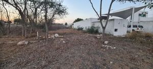 TERRENO EN VENTA EN MERIDA, NUEVO YUCATAN SOBRE AVENIDA