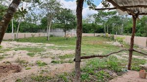 TERRENO EN VENTA EN CHOLUL, CERCA DEL PARQUE PRINCIPAL