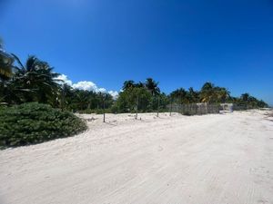 TERRENO EN VENTA EN SAN CRISANTO,YUCATAN ,FRENTE AL MAR