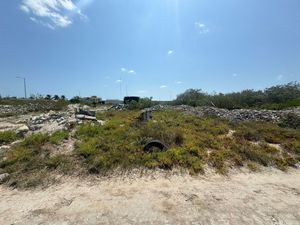 TERRENO EN VENTA EN CHELEM YUCATAN A 350 METROS DEL MAR