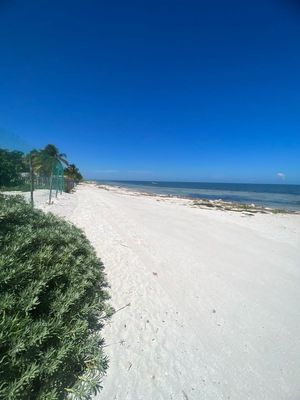 TERRENO EN VENTA EN SAN CRISANTO,YUCATAN ,FRENTE AL MAR