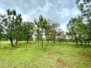 TERRENO EN VENTA, "REAL DE ENCINOS" TAPALPA, JALISCO