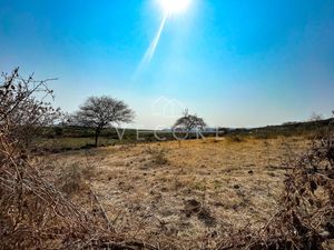 TERRENO AGRICOLA EN VENTA EN CHAPALA, JALISCO