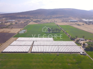 TERRENO EN VENTA EN OCOTLÁN, JALISCO