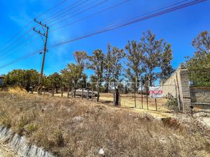 TERRENO EN VENTA EN CARRETERA KM 10, TALA, JALISCO