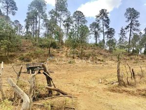 TERRENO EN VENTA, TAPALPA, JALISCO