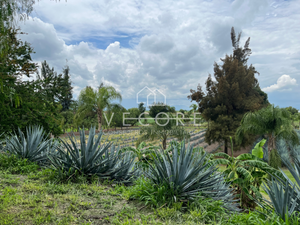 TERRENO EN VENTA FRENTE A LAGO DE CHAPALA, JALISCO