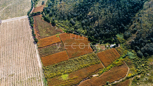 TERRENO EN VENTA EN NEXTIPAC, ZAPOPAN