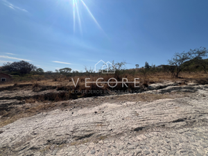 TERRENO EN VENTA EN EL ROBLE, ZAPOPAN