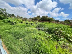 TERRENO EN VENTA EN SAN MARTIN DE LAS FLORES, TLAQUEPAQUE