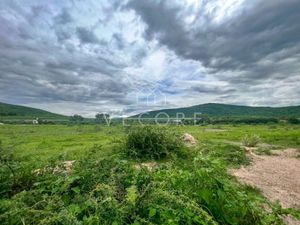 TERRENO EN VENTA EN VILLA CORONA, JALISCO