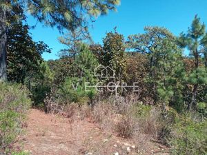 TERRENO EN VENTA EN "LA YERBABUENA", TAPALPA, JALISCO