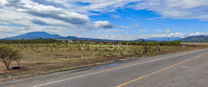 TERRENO EN VENTA, SOBRE CARRETERA MAGDALENA, JALISCO