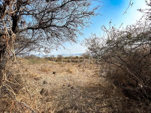 TERRENO AGRICOLA EN VENTA EN CHAPALA, JALISCO