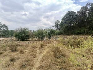 TERRENO EN VENTA, TAPALPA, JALISCO