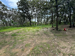 TERRENO EN VENTA EN NUEVO MÉXICO, ZAPOPAN