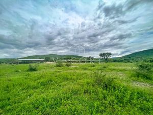 TERRENO EN VENTA EN VILLA CORONA, JALISCO