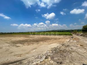 TERRENO EN VENTA EN EL REFUGIO, TALA