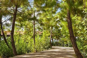 TERRENO EN VENTA EN BOSQUES DE LA CAÑADA, TAPALPA