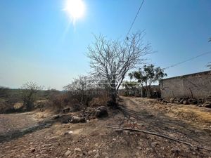 TERRENO AGRICOLA EN VENTA EN CHAPALA, JALISCO