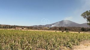 TERRENO EN VENTA, EL REFUGIO, TALA, JALISCO