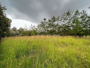 TERRENO EN VENTA, RANCHO VIEJO, TAPALPA, JALISCO