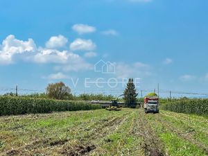 TERRENO EN VENTA EN EL REFUGIO, TALA