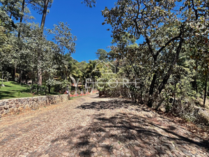 TERRENO EN VENTA EN LOS CAZOS, MAZAMITLA, JALISCO