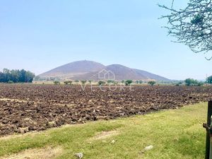 TERRENO AGRÍCOLA EN VENTA, SAN MIGUEL CUYUTLAN, TLAJOMULCO