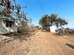 TERRENO AGRICOLA EN VENTA EN CHAPALA, JALISCO