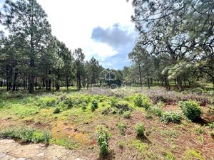 TERRENO EN VENTA, "REAL DE ENCINOS" TAPALPA, JALISCO